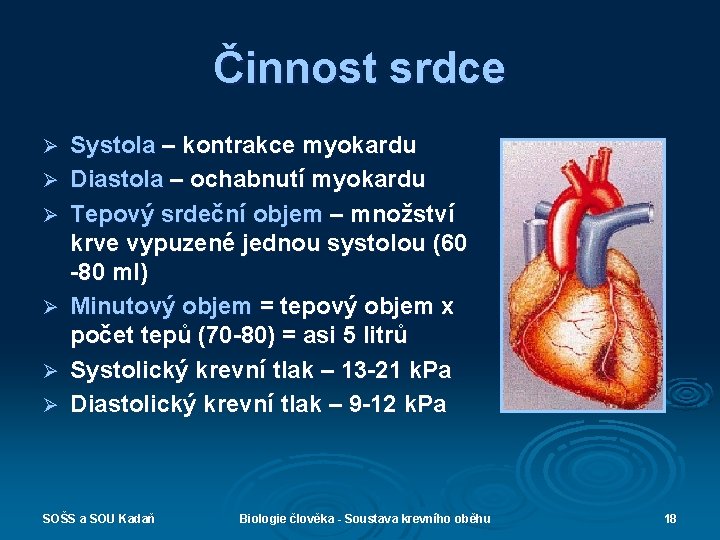Činnost srdce Ø Ø Ø Systola – kontrakce myokardu Diastola – ochabnutí myokardu Tepový