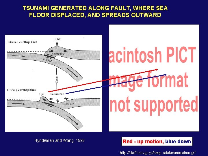 TSUNAMI GENERATED ALONG FAULT, WHERE SEA FLOOR DISPLACED, AND SPREADS OUTWARD Hyndeman and Wang,