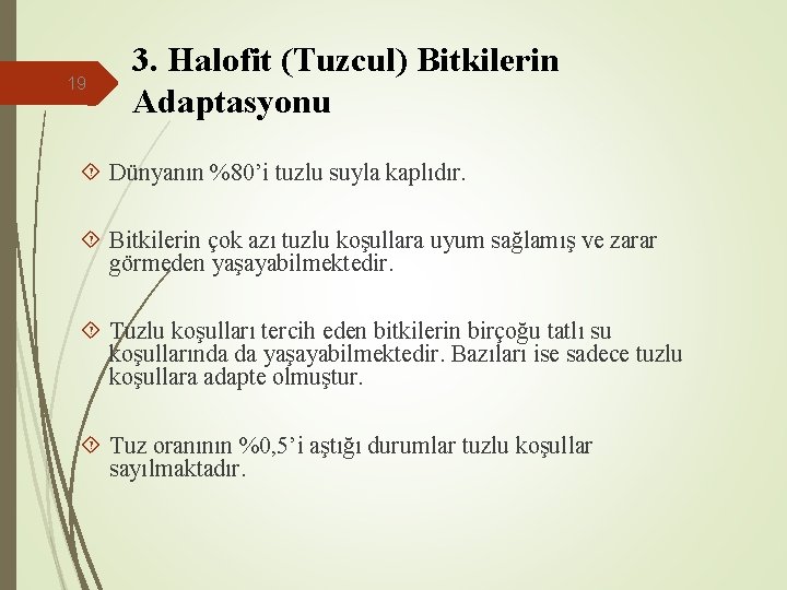 19 3. Halofit (Tuzcul) Bitkilerin Adaptasyonu Dünyanın %80’i tuzlu suyla kaplıdır. Bitkilerin çok azı