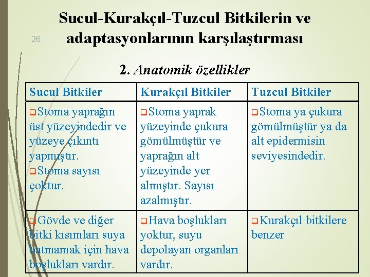 26 Sucul-Kurakçıl-Tuzcul Bitkilerin ve adaptasyonlarının karşılaştırması 2. Anatomik özellikler Sucul Bitkiler Kurakçıl Bitkiler Tuzcul