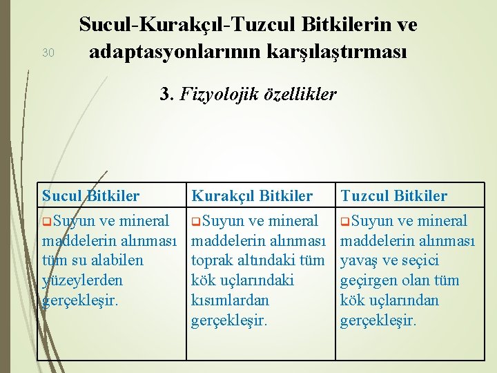 30 Sucul-Kurakçıl-Tuzcul Bitkilerin ve adaptasyonlarının karşılaştırması 3. Fizyolojik özellikler Sucul Bitkiler q. Suyun ve