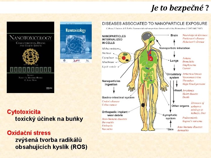 Je to bezpečné ? Cytotoxicita toxický účinek na buňky Oxidační stress zvýšená tvorba radikálů