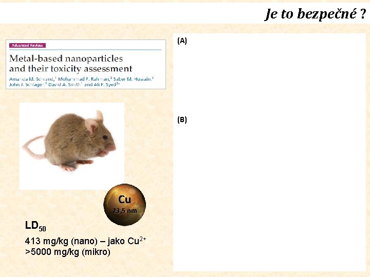 Je to bezpečné ? ledvina (A) slezina (B) Cu 23, 5 nm LD 50