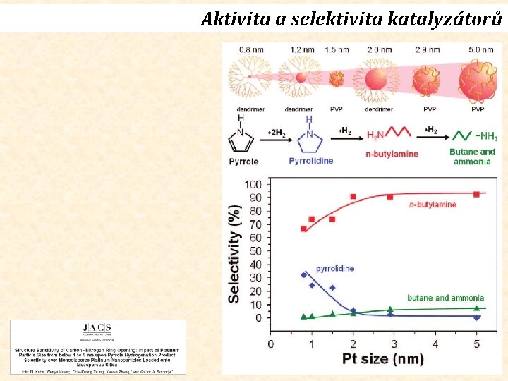 Aktivita a selektivita katalyzátorů 