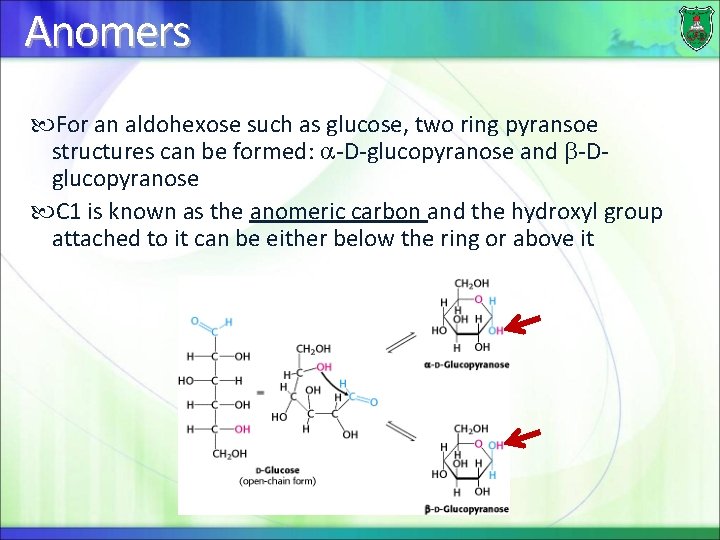 Anomers For an aldohexose such as glucose, two ring pyransoe structures can be formed: