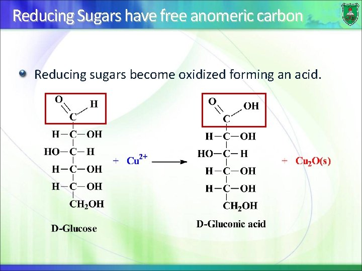 Reducing Sugars have free anomeric carbon Reducing sugars become oxidized forming an acid. 