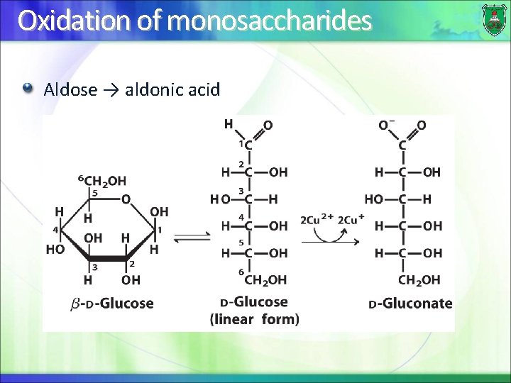 Oxidation of monosaccharides Aldose → aldonic acid 