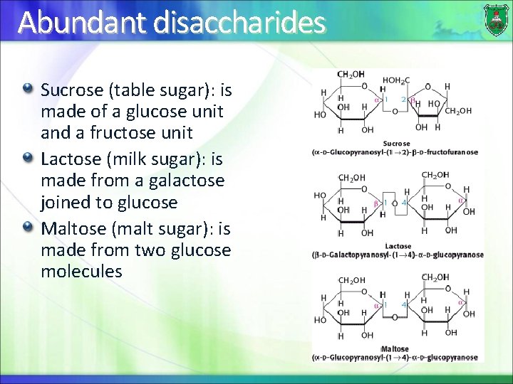 Abundant disaccharides Sucrose (table sugar): is made of a glucose unit and a fructose