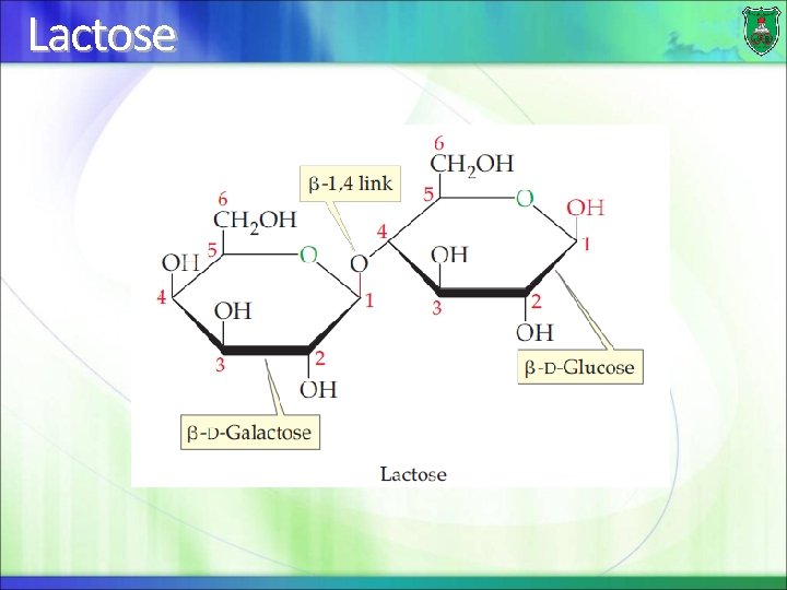 Lactose 