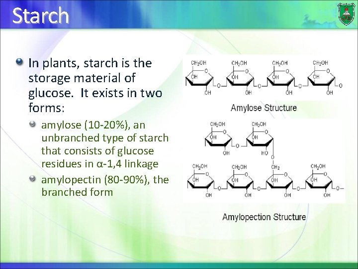 Starch In plants, starch is the storage material of glucose. It exists in two