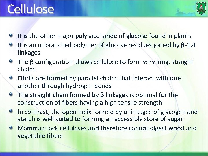 Cellulose It is the other major polysaccharide of glucose found in plants It is