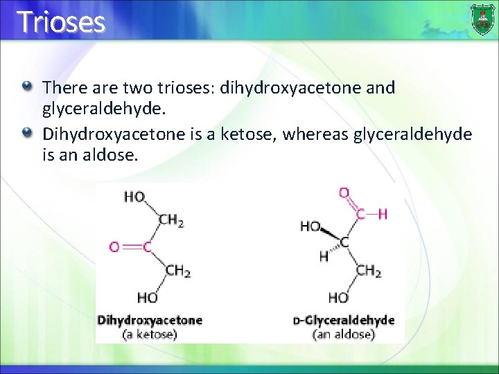 Trioses There are two trioses: dihydroxyacetone and glyceraldehyde. Dihydroxyacetone is a ketose, whereas glyceraldehyde