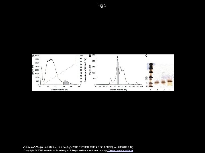 Fig 2 Journal of Allergy and Clinical Immunology 2006 1171389 -1395 DOI: (10. 1016/j.