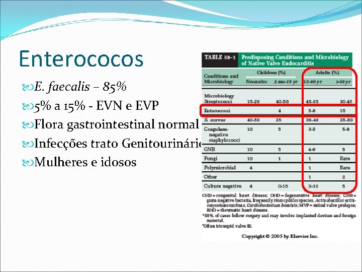 Enterococos E. faecalis – 85% 5% a 15% - EVN e EVP Flora gastrointestinal