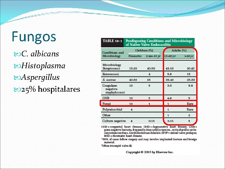 Fungos C. albicans Histoplasma Aspergillus 25% hospitalares 