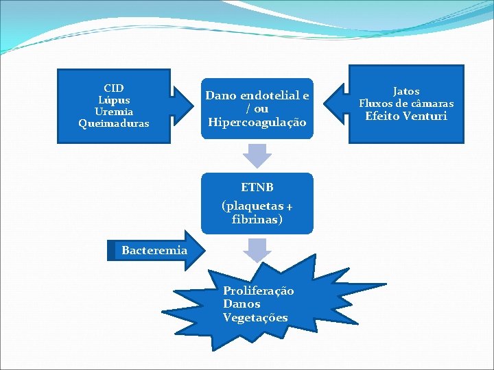 CID Lúpus Uremia Queimaduras Dano endotelial e / ou Hipercoagulação ETNB (plaquetas + fibrinas)