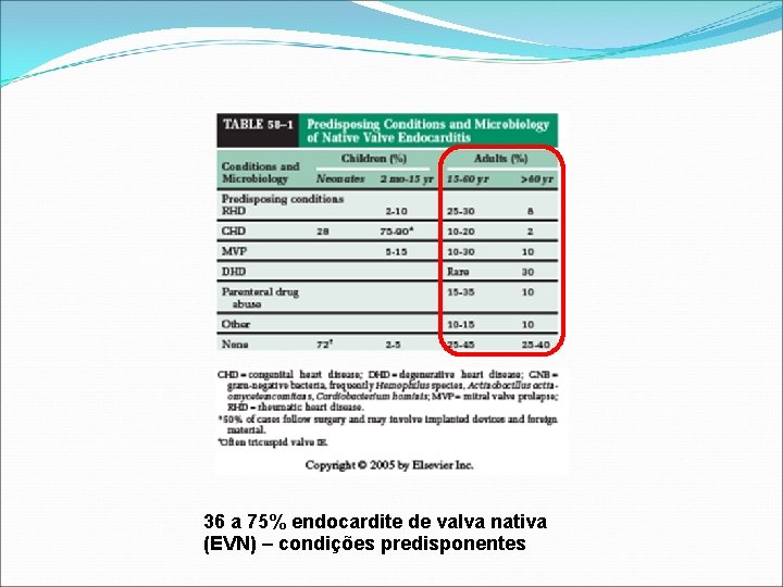 36 a 75% endocardite de valva nativa (EVN) – condições predisponentes 