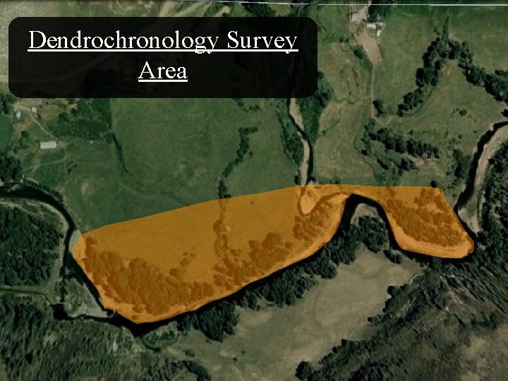 Dendrochronology Survey Area 