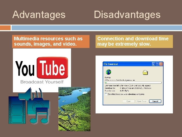 Advantages Multimedia resources such as sounds, images, and video. Disadvantages Connection and download time