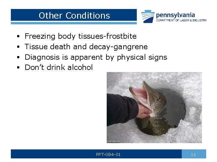 Other Conditions § § Freezing body tissues-frostbite Tissue death and decay-gangrene Diagnosis is apparent