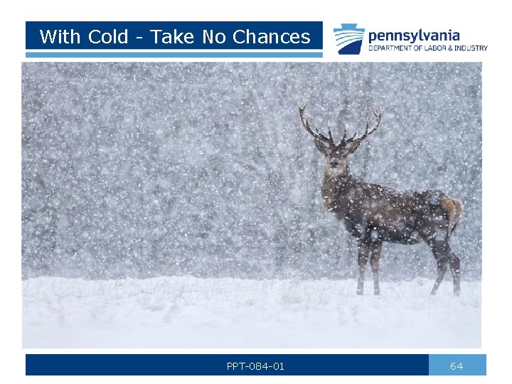 With Cold - Take No Chances PPT-084 -01 64 