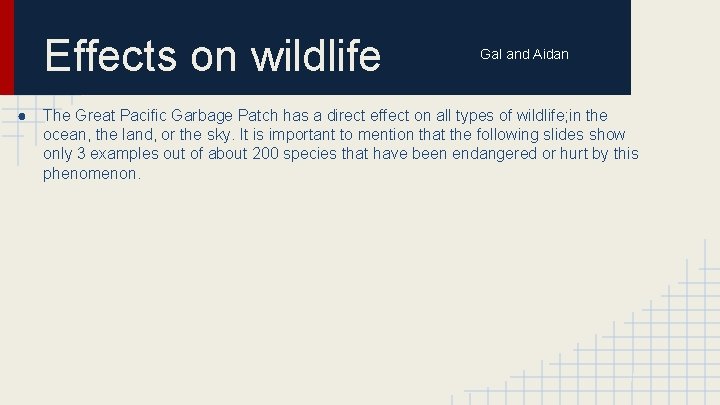 Effects on wildlife Gal and Aidan ● The Great Pacific Garbage Patch has a