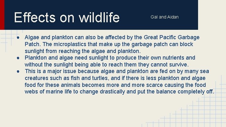 Effects on wildlife Gal and Aidan ● Algae and plankton can also be affected