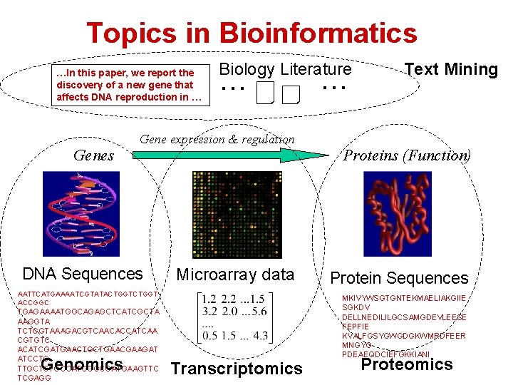 Topics in Bioinformatics …In this paper, we report the discovery of a new gene