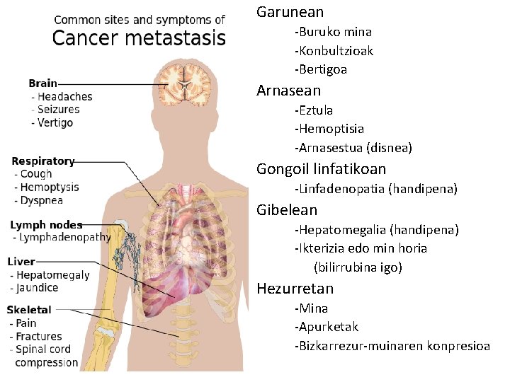 Garunean -Buruko mina -Konbultzioak -Bertigoa Arnasean -Eztula -Hemoptisia -Arnasestua (disnea) Gongoil linfatikoan -Linfadenopatia (handipena)