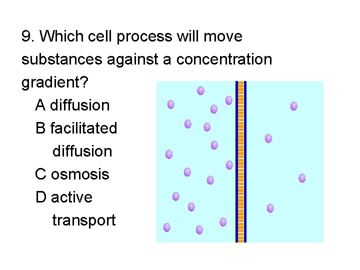 9. Which cell process will move substances against a concentration gradient? A diffusion B