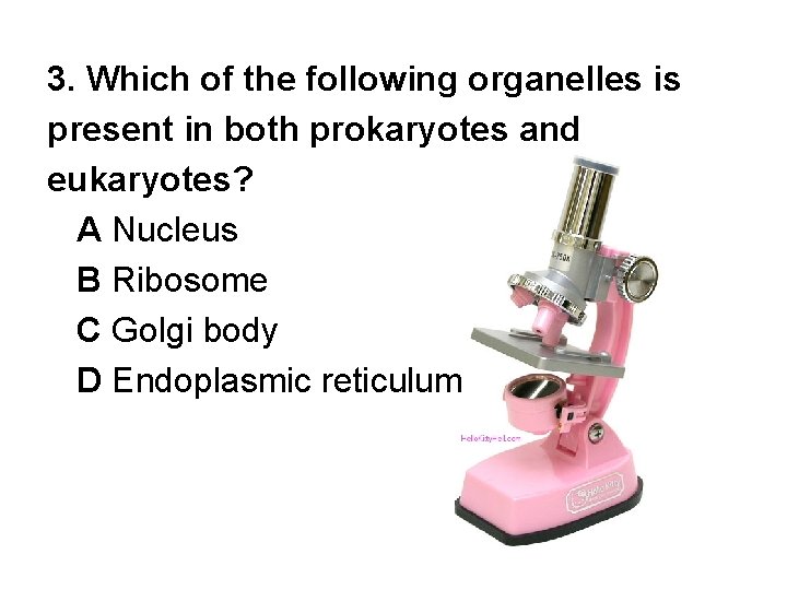 3. Which of the following organelles is present in both prokaryotes and eukaryotes? A