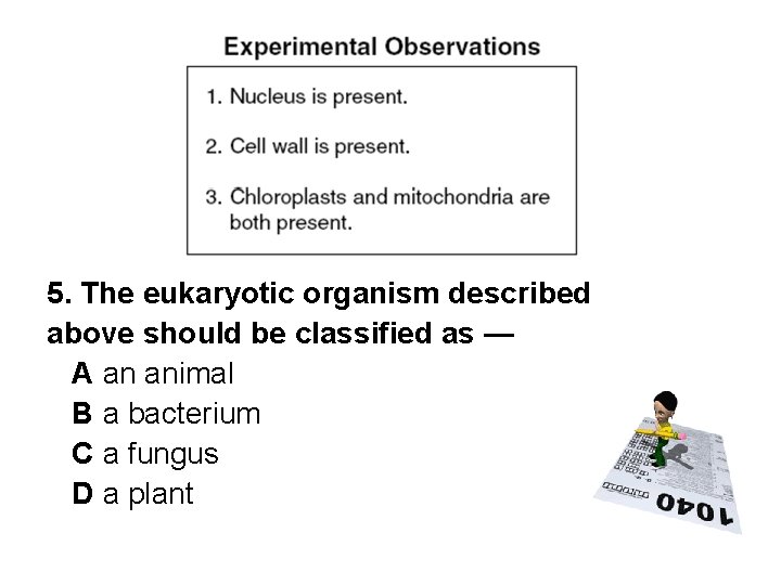 5. The eukaryotic organism described above should be classified as — A an animal