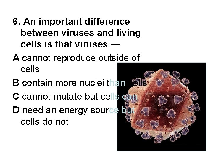 6. An important difference between viruses and living cells is that viruses — A