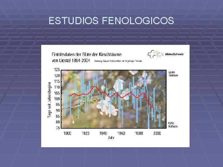 ESTUDIOS FENOLOGICOS 