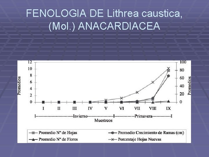 FENOLOGIA DE Lithrea caustica, (Mol. ) ANACARDIACEA 