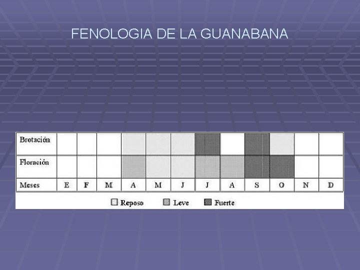 FENOLOGIA DE LA GUANABANA 