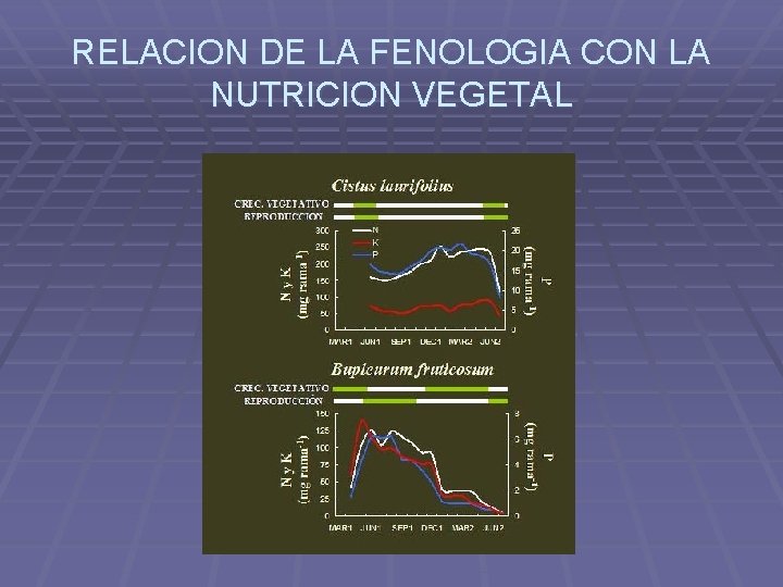 RELACION DE LA FENOLOGIA CON LA NUTRICION VEGETAL 