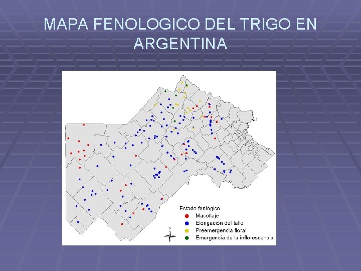 MAPA FENOLOGICO DEL TRIGO EN ARGENTINA 