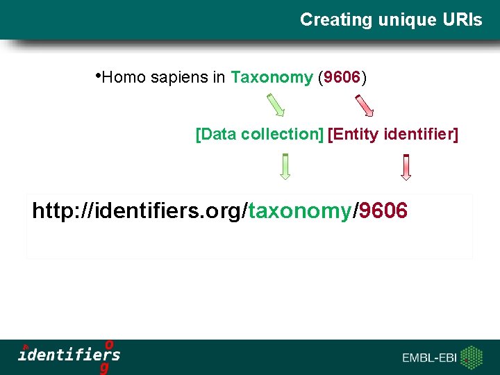 Creating unique URIs • Homo sapiens in Taxonomy (9606) [Data collection] [Entity identifier] Slide