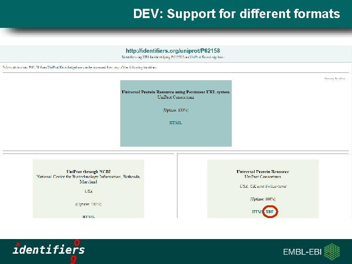 DEV: Support for different formats Slide title 