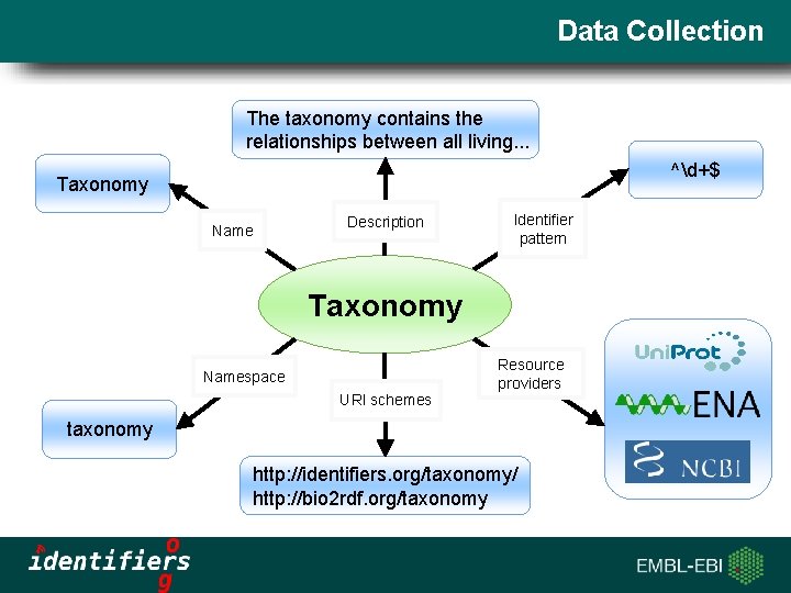 Data Collection The taxonomy contains the relationships between all living. . . ^d+$ Taxonomy