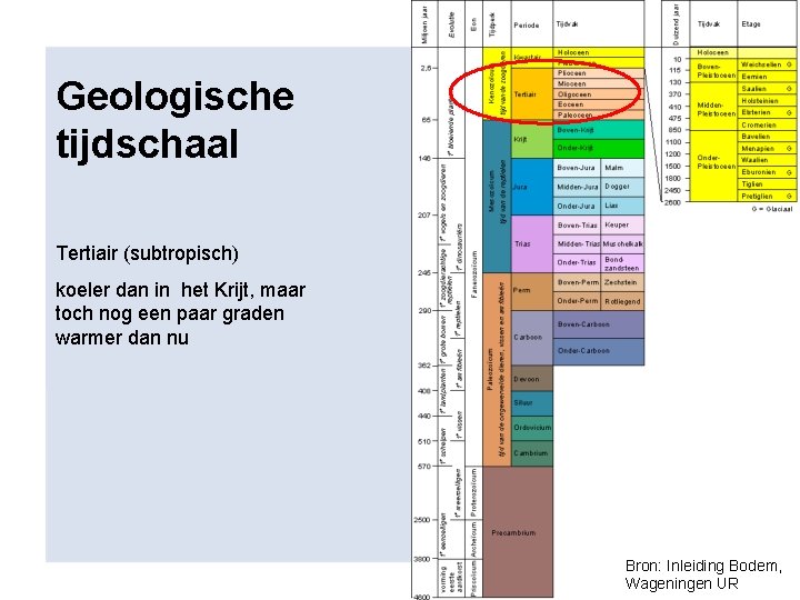 Geologische tijdschaal Tertiair (subtropisch) koeler dan in het Krijt, maar toch nog een paar