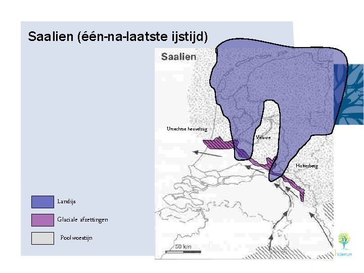 Saalien (één-na-laatste ijstijd) Utrechtse heuvelrug Veluwe Holterberg Landijs Glaciale afzettingen Poolwoestijn 