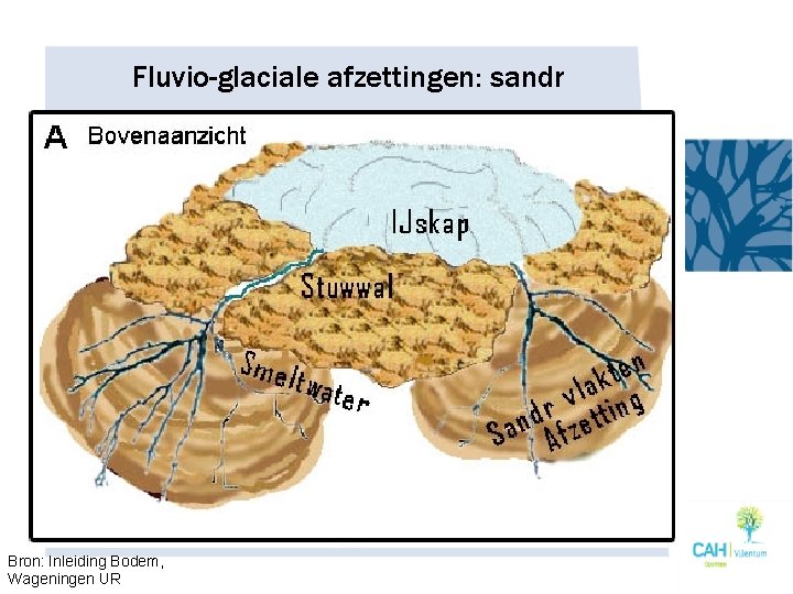 Fluvio-glaciale afzettingen: sandr Bron: Inleiding Bodem, Wageningen UR 