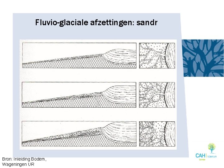 Fluvio-glaciale afzettingen: sandr Bron: Inleiding Bodem, Wageningen UR 