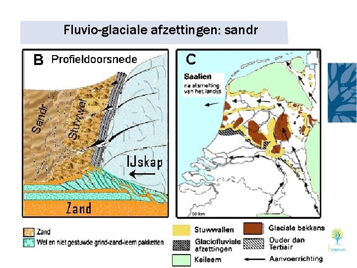 Fluvio-glaciale afzettingen: sandr 