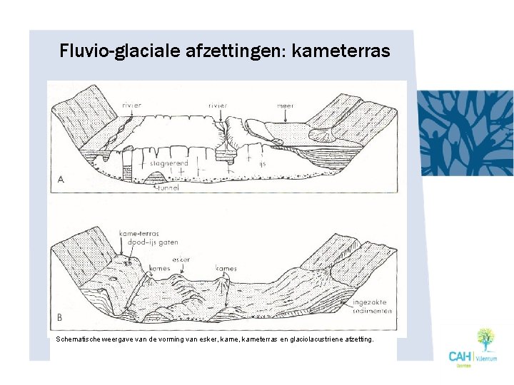 Fluvio-glaciale afzettingen: kameterras Schematische weergave van de vorming van esker, kameterras en glaciolacustriene afzetting.