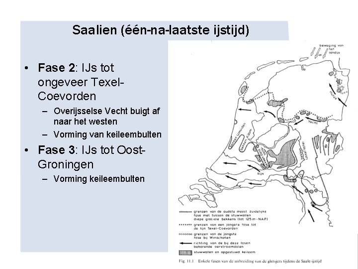 Saalien (één-na-laatste ijstijd) • Fase 2: IJs tot ongeveer Texel. Coevorden – Overijsselse Vecht