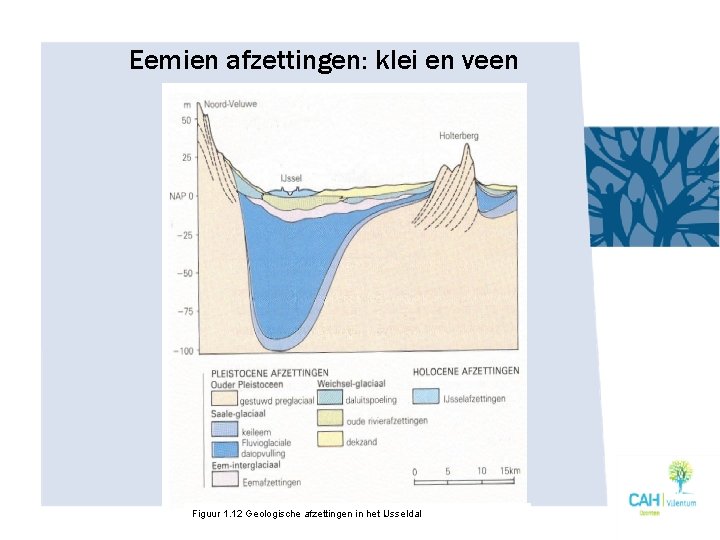 Eemien afzettingen: klei en veen Figuur 1. 12 Geologische afzettingen in het IJsseldal 