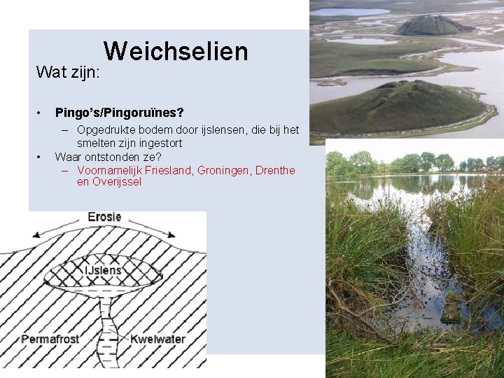 Wat zijn: Weichselien • Pingo’s/Pingoruïnes? • – Opgedrukte bodem door ijslensen, die bij het